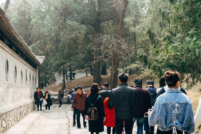 图聚科技